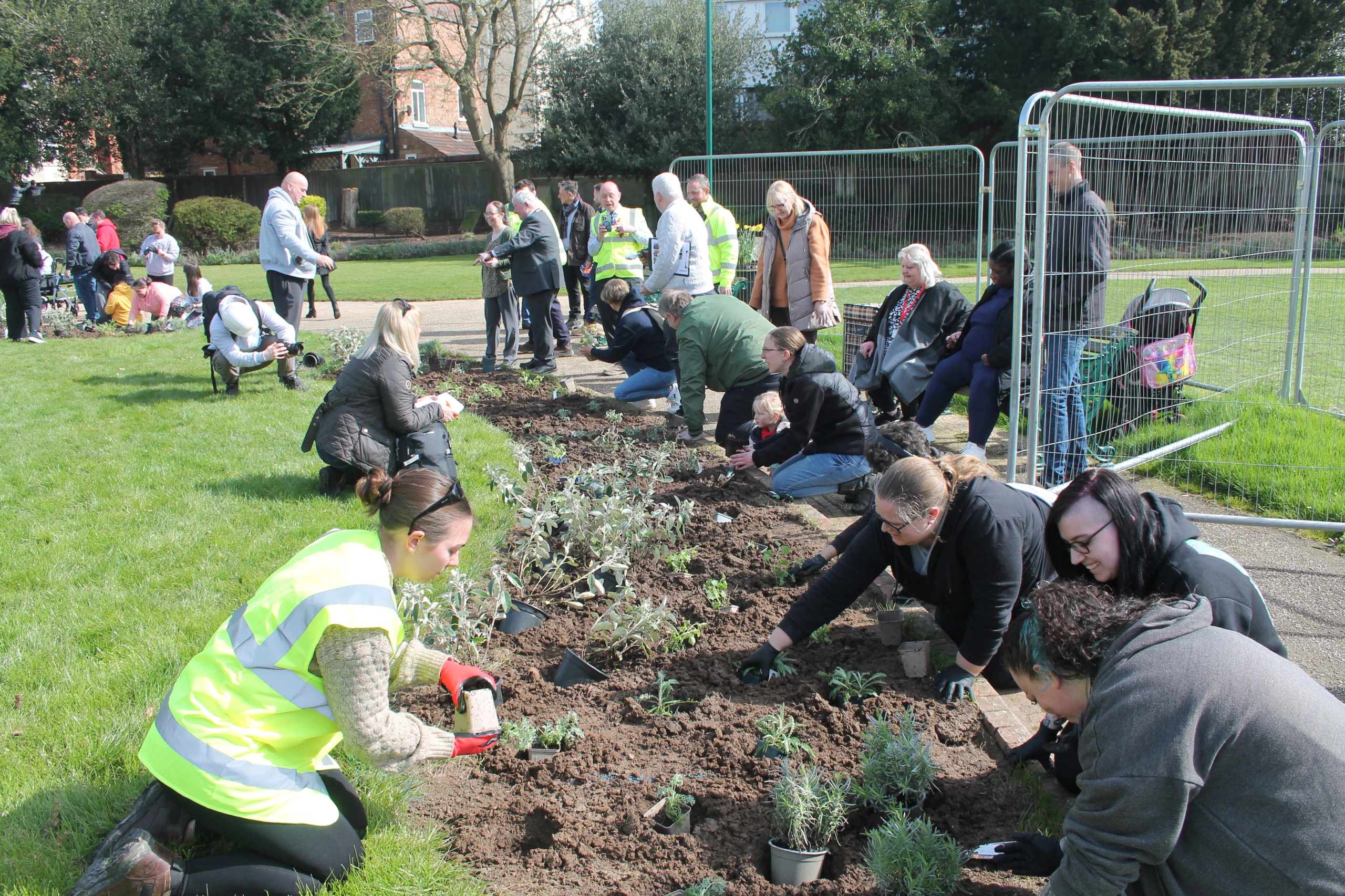 Established planting and public realm in Skegness