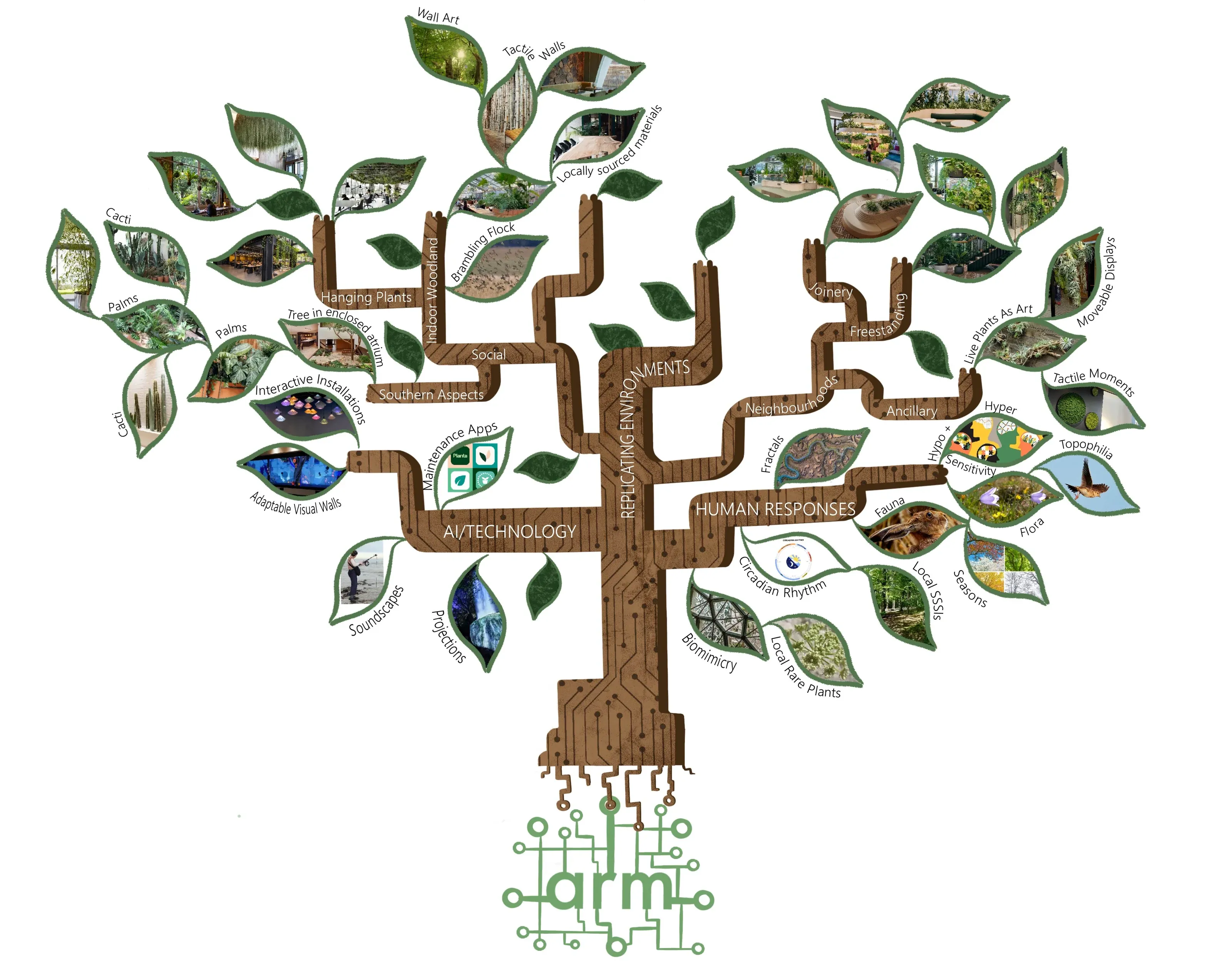 Arm Biophilic Workplace — project photograph