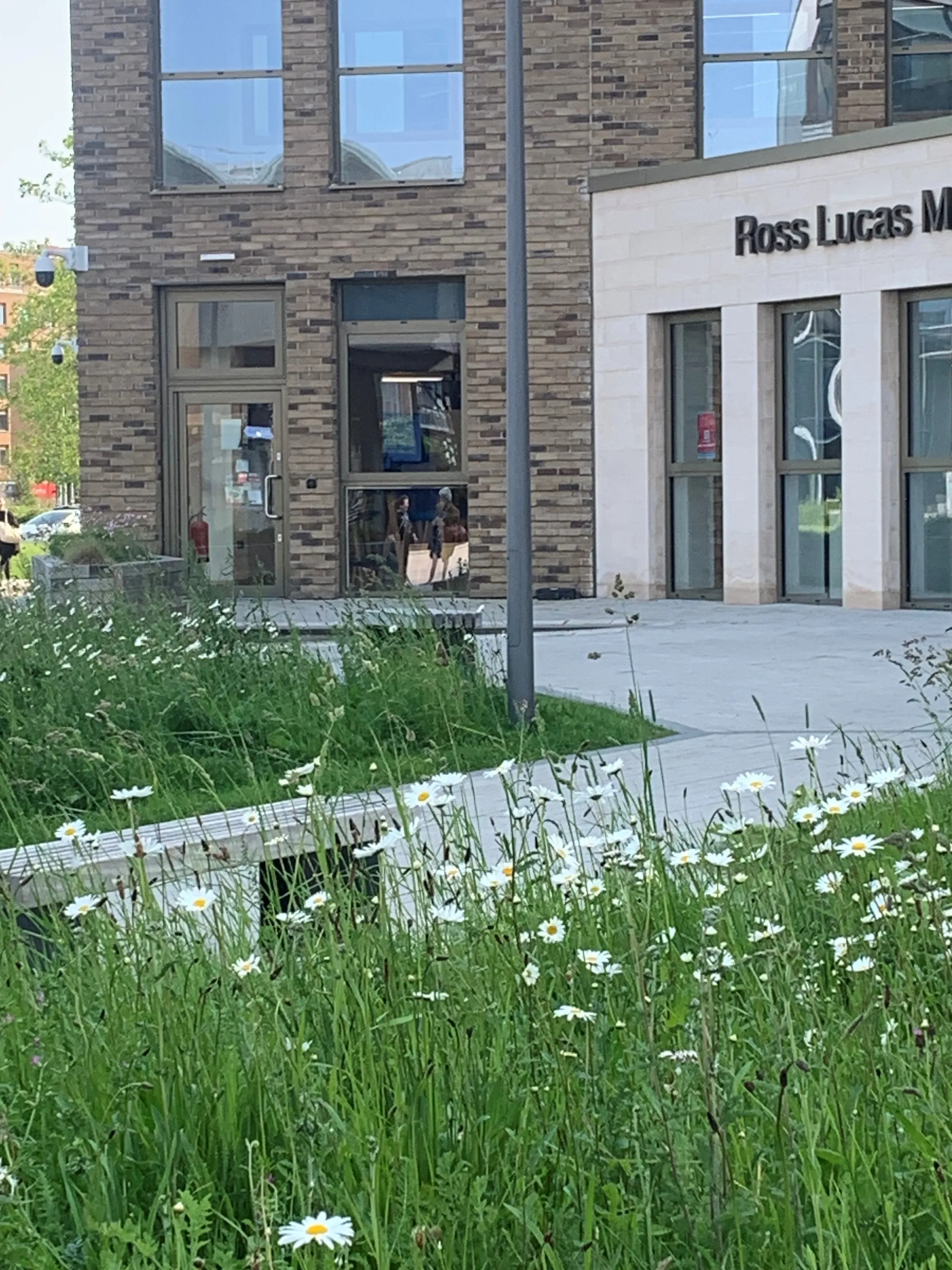 Lincoln Medical School — project photograph