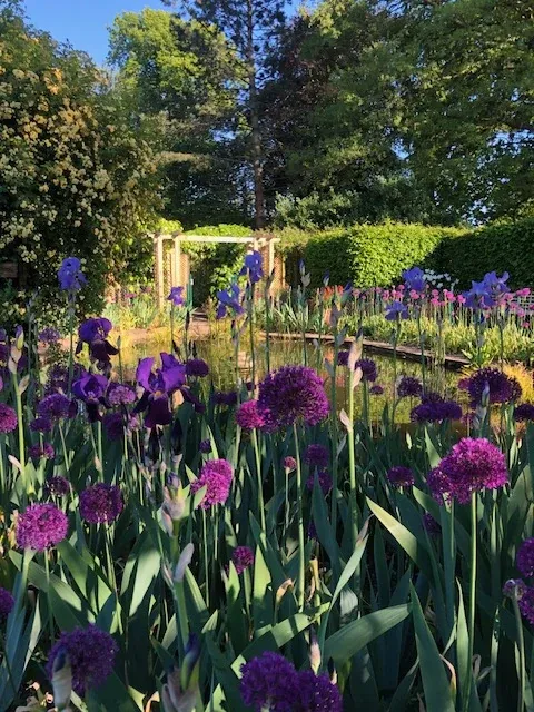 John Dawber Garden — project photograph