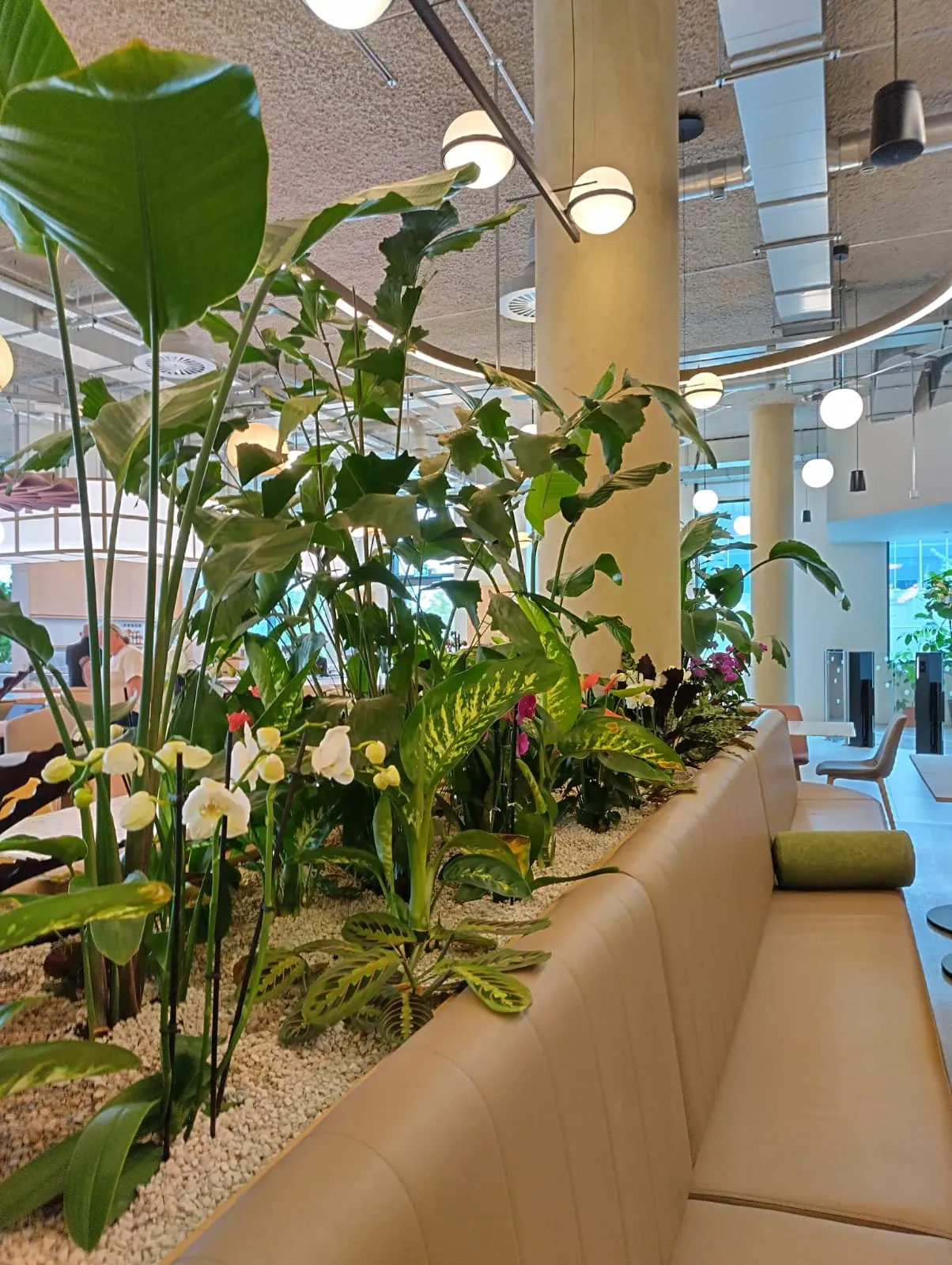 Arm Biophilic Workplace — project photograph