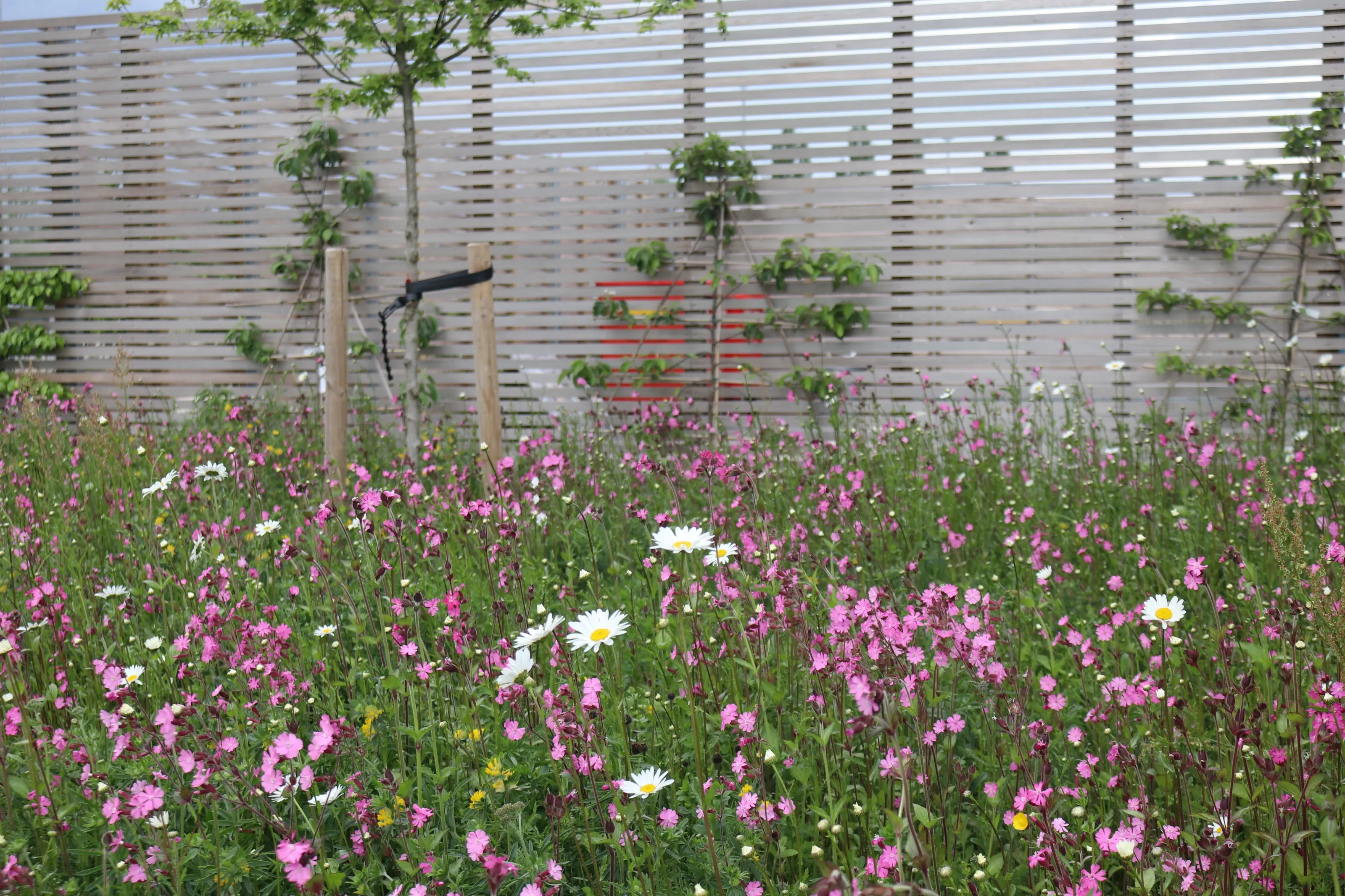 South Lincolnshire Food Enterprise Zone — project photograph