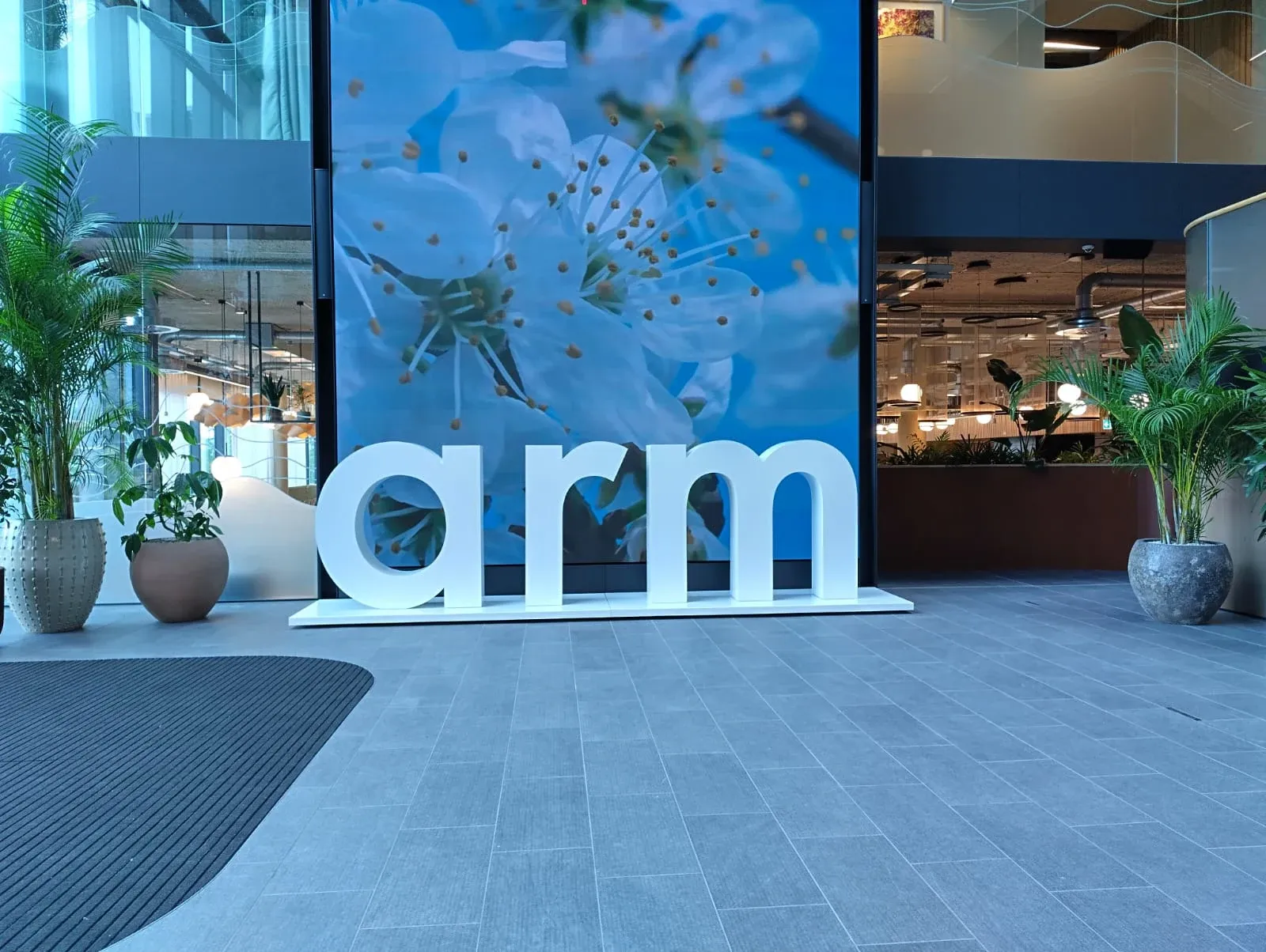 Arm Biophilic Workplace — project photograph