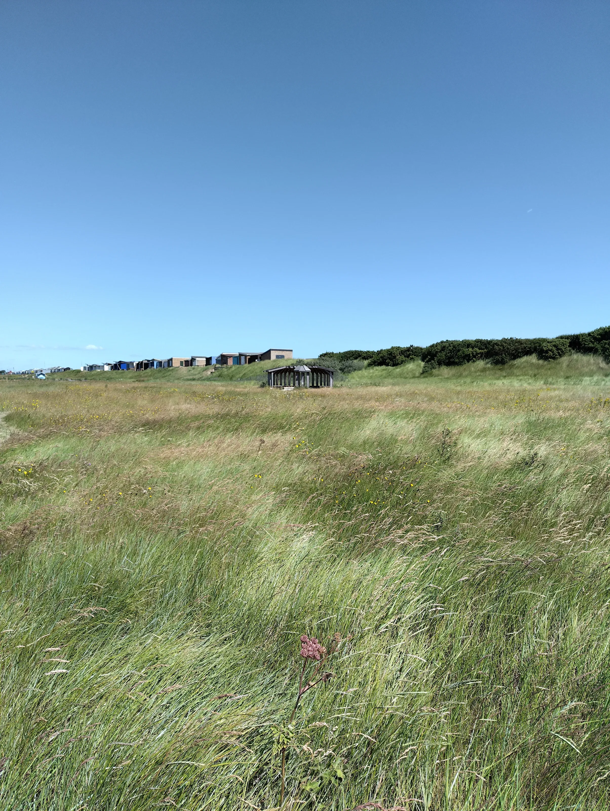Sandilands Nature Reserve — project photograph