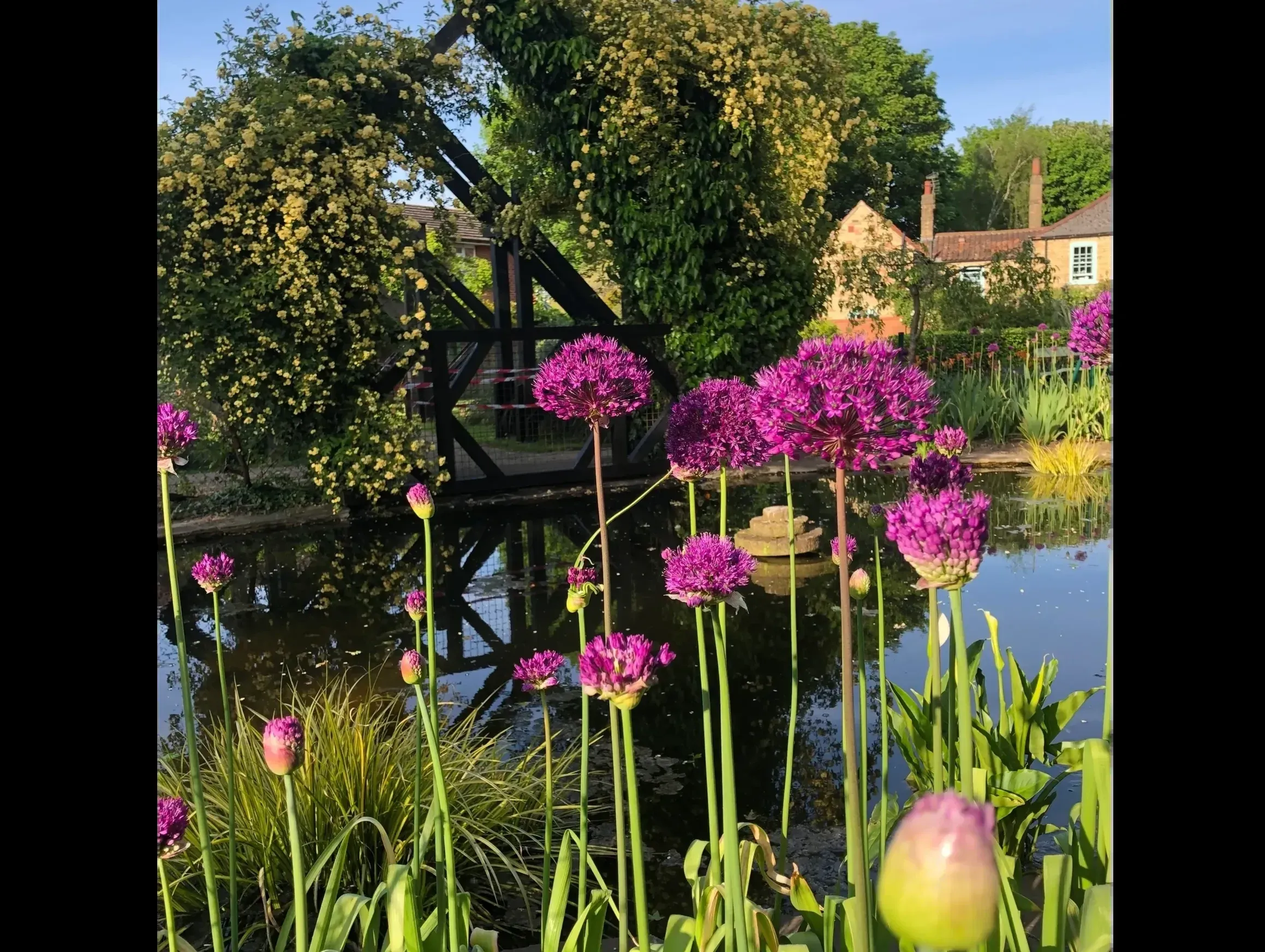 John Dawber Garden — project photograph