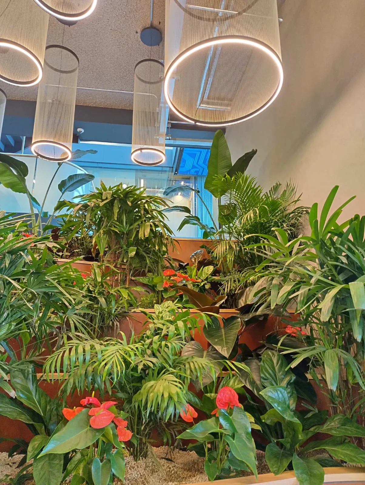Arm Biophilic Workplace — project photograph