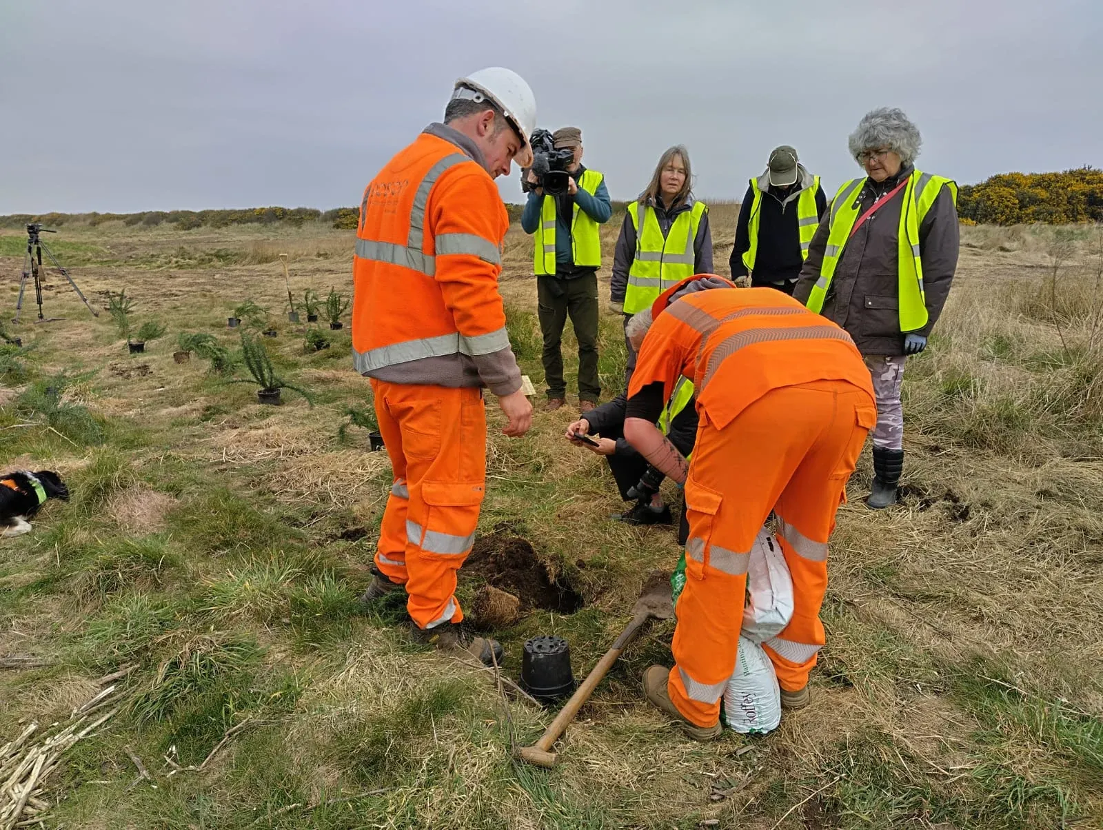 Sandilands Nature Reserve — project photograph