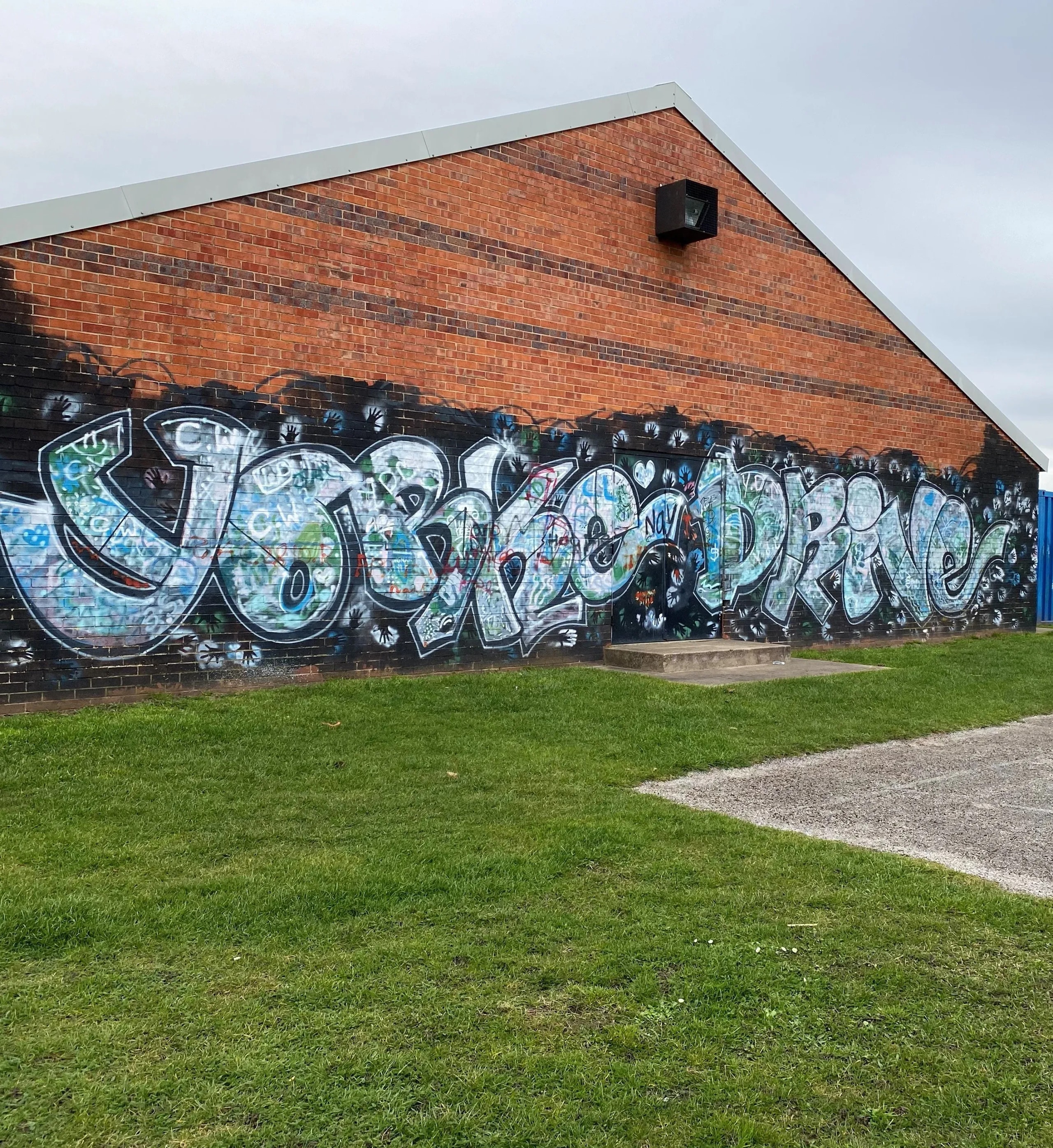Yorke Drive Regeneration — project photograph