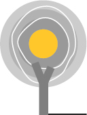 Our arboricultural services support planning, development, and long-term woodland care. We provide expert advice to protect and enhance tree health while meeting project and regulatory requirements.